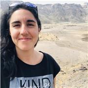 Doy clases particulares adaptadas al nivel de cada alumno